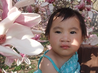 April 19 Bell and Magnolias 2