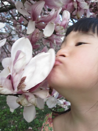magnolia5