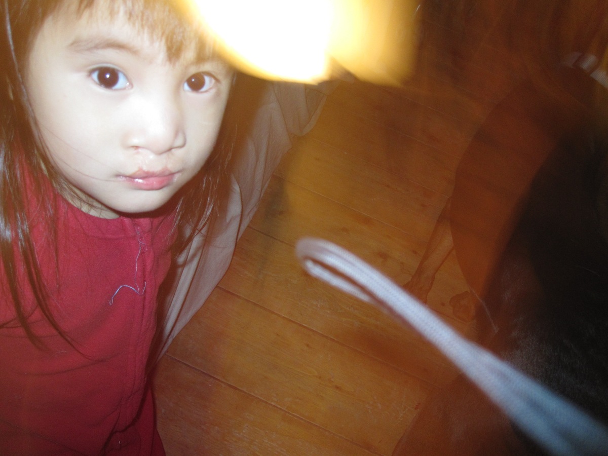[Thanksgiving 2009 4[2].jpg]