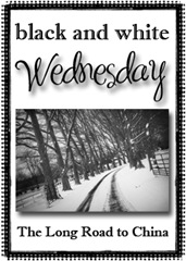 black and white wednesday black and white wednesday