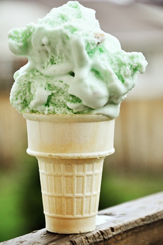 [ice cream cone 003[3].jpg]