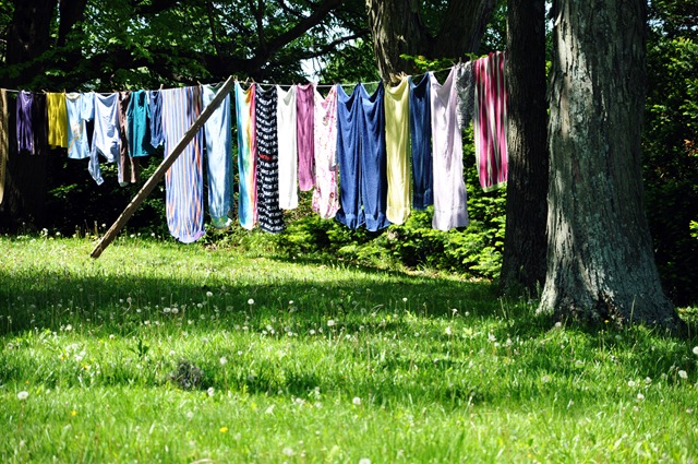 [laundry[2].jpg]