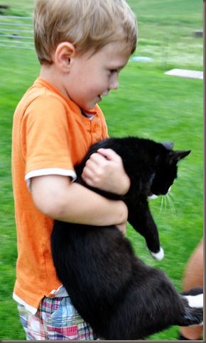 that kitty again
