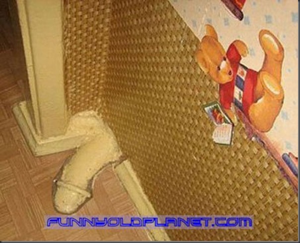 imagens super engraçadas (10)