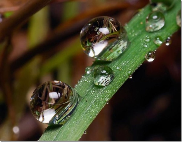 lindas imagens de gotas d'agua (5)
