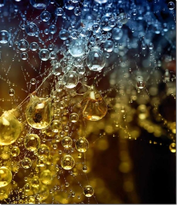 lindas imagens de gotas d'agua