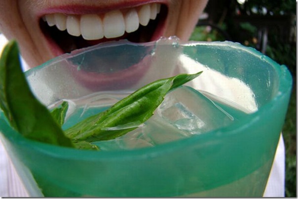 Copo comestivel (3)