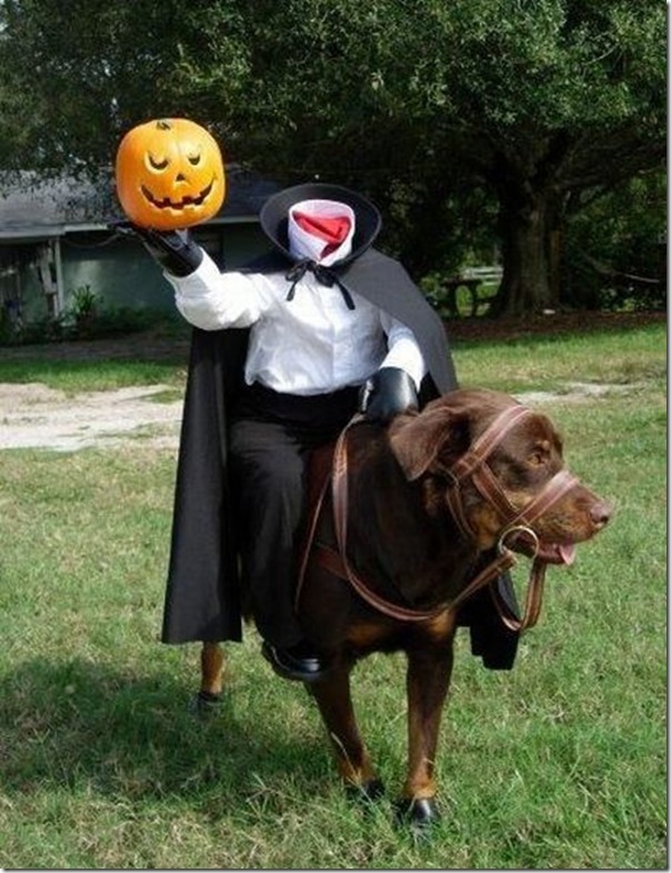 Fotos engraçadas dos Halloween (13)