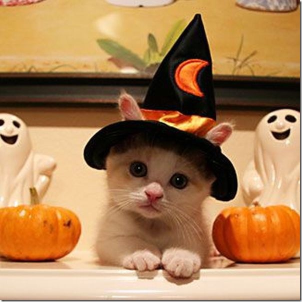 Momento oinn no Halloween