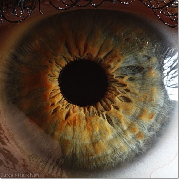 Fotos macro de olhos humanos (15)