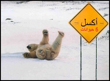 أكسل 5 حيوانات أكسل 5 حيوانات