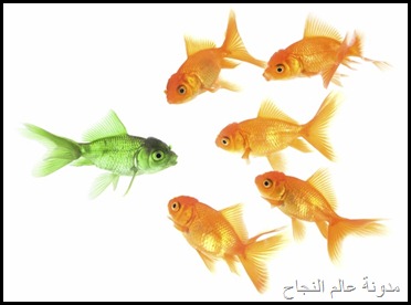 الاختلاف الاختلاف