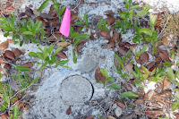 02_2008 030.jpg