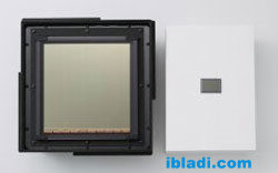 Canon CMOS sensor capable