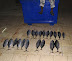 Male Fish Market