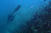 The Blue Alibaba dive