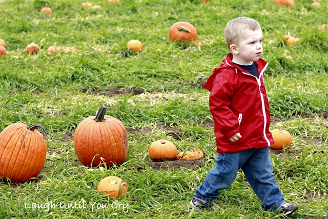 [pumpkin3[4].jpg]
