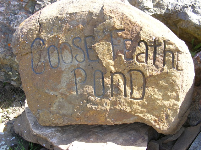 [GooseFeatherPondSign[3].jpg]