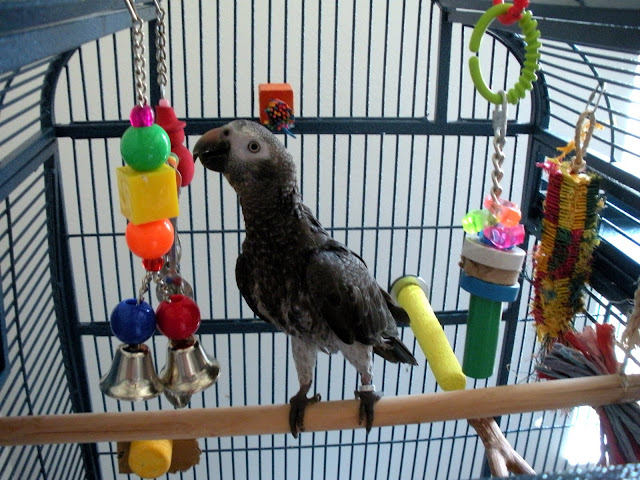 DSCN1538.JPG