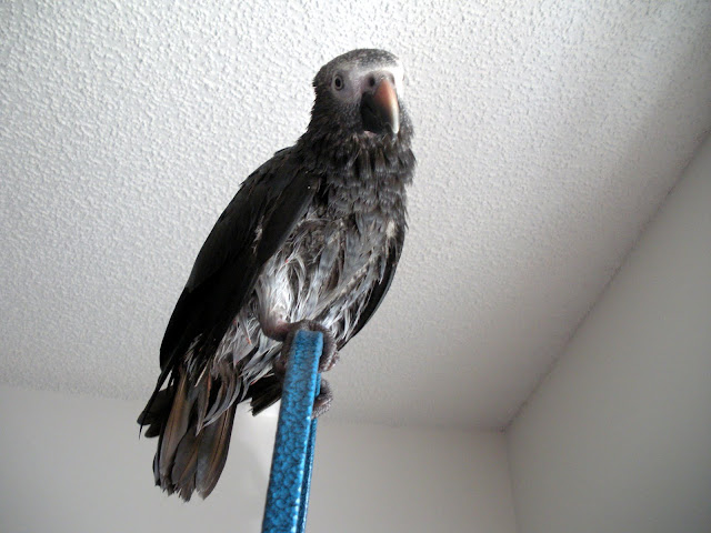 DSCN1524.JPG