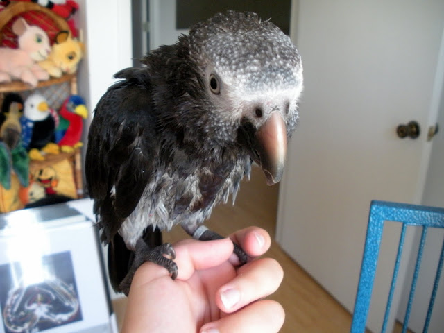 DSCN1522.JPG