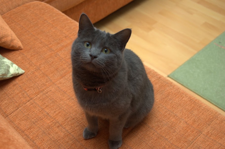 DSC_1748.jpg