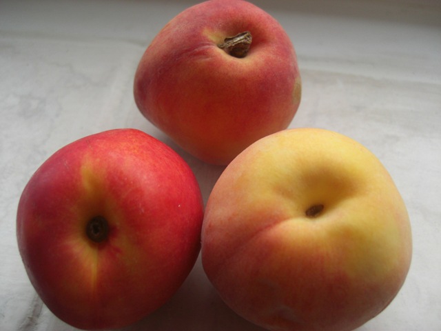[CIMG4417[3].jpg]