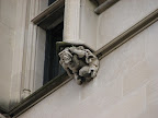 IMG_5598.JPG