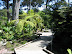 San Francisco botanical garden.