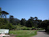 San Francisco botanical garden.