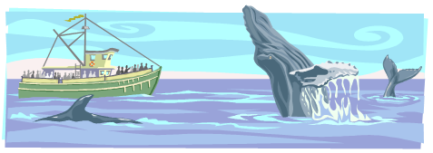 [Monterey_WhaleWatch[4].png]