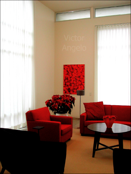 Victor Angelo red interior design