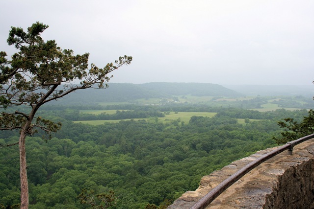 [IMG_1182b6.jpg]