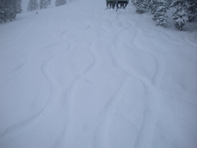 DSCN0725.JPG
