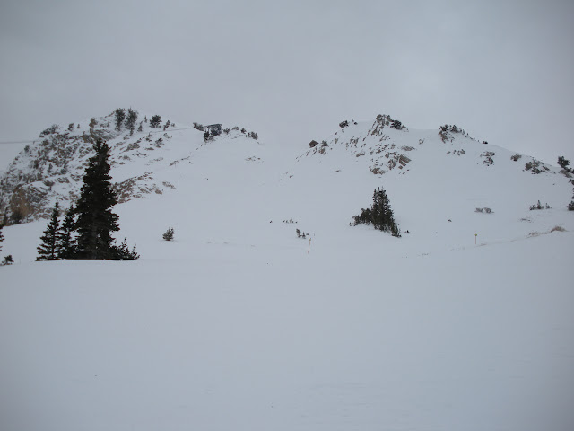 DSCN0134.JPG