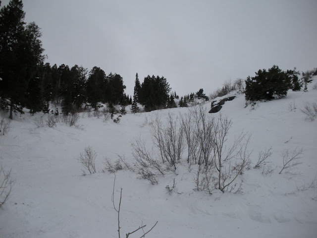 DSCN0139.JPG