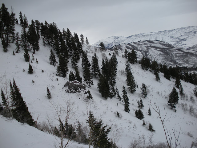 DSCN0141.JPG