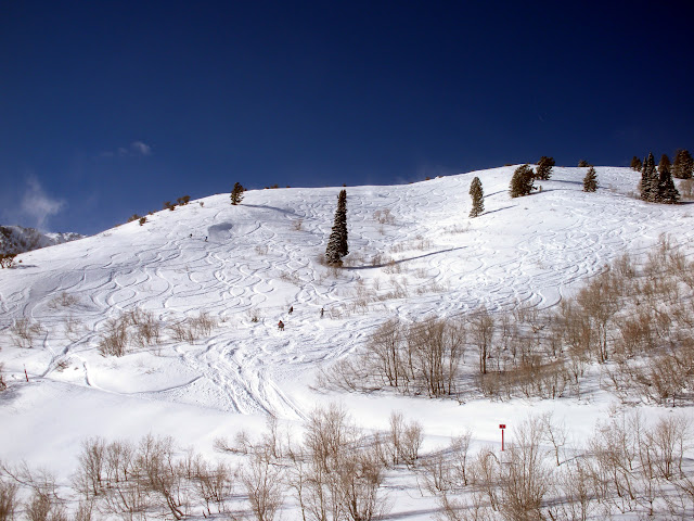 DSCN0189.JPG