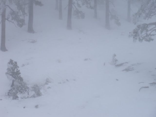 DSCN0409.JPG