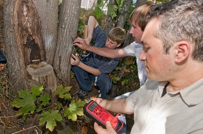 [20090904_pid51873_aid51869_treepowergroup_w600[2].jpg]