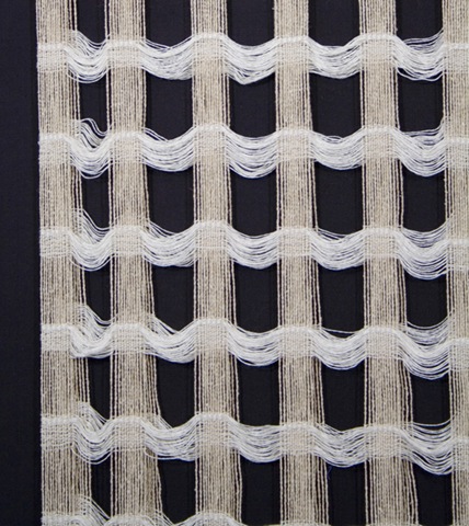[howdeshell_r_protectionism_fiber_detail_blog[2].jpg]
