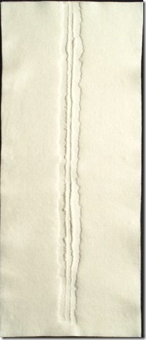 howdeshell_spine2_blog