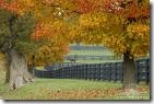 fall