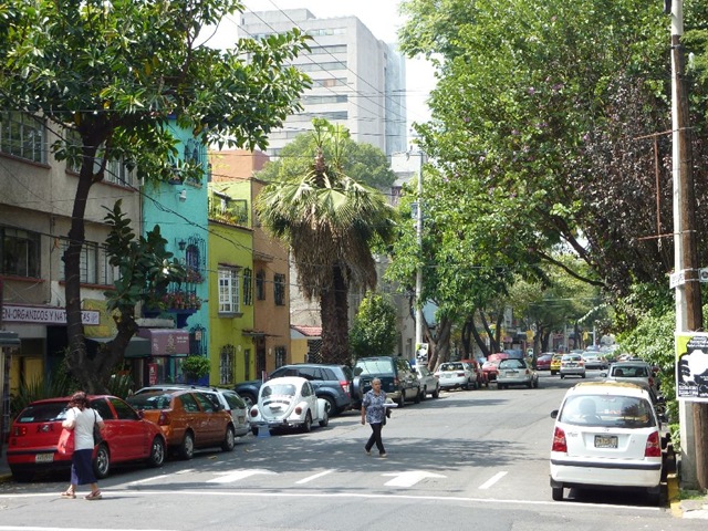 [P10000433.jpg]