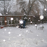 IMG_3644.JPG