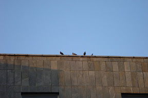 DSC01185.JPG
