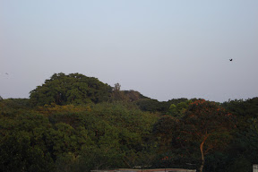 DSC01188.JPG