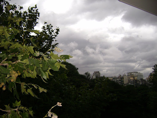 pistola tormenta del desierto