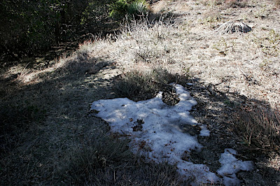 Había nieve y todo!