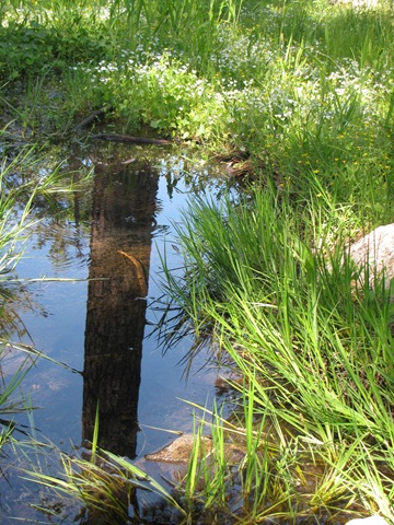 [IMG_87224.jpg]